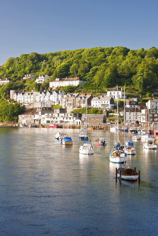 Morning light on the River Looe at Looe, Cornwall, England, United Kingdom, Europe