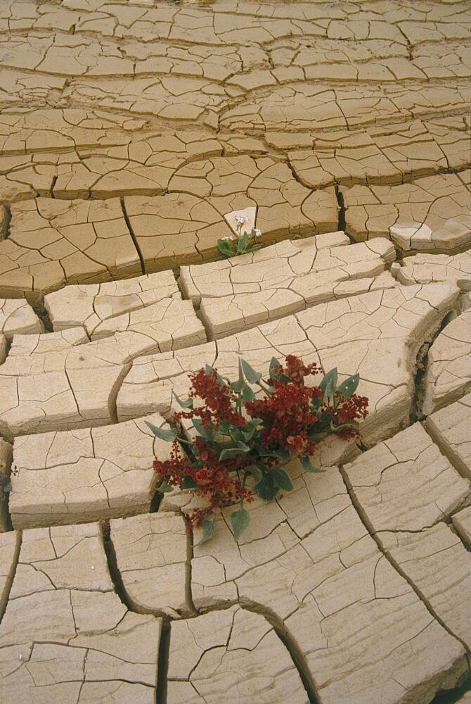 cracked earth in Ein Akev in the Negev desert, Israel