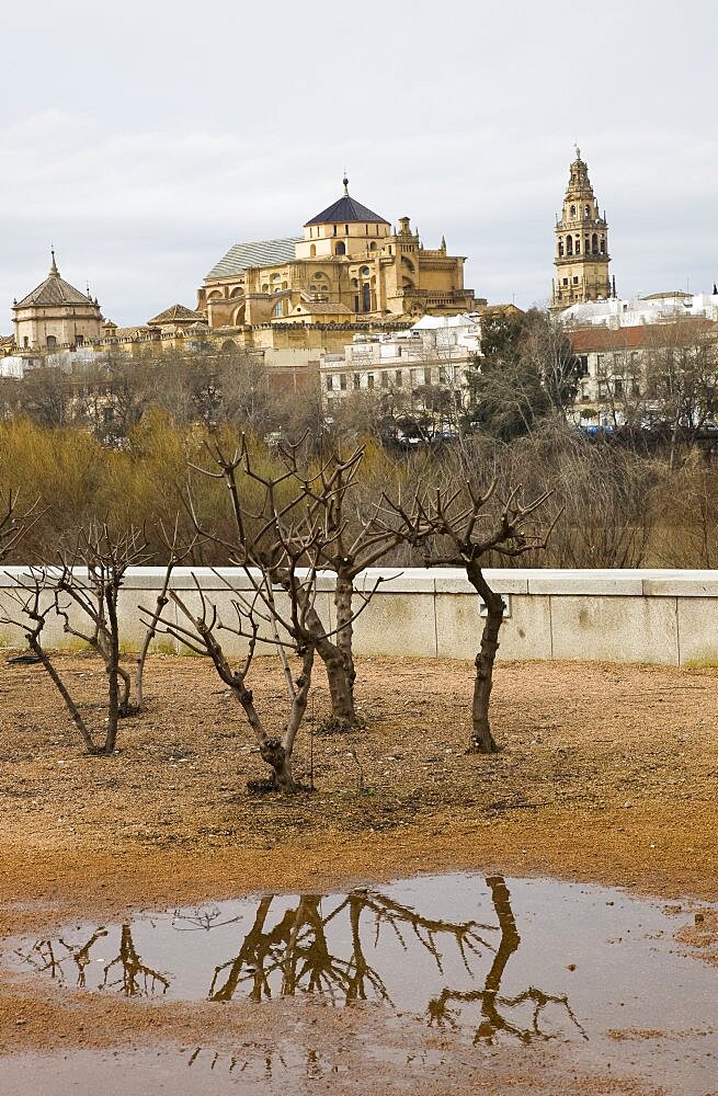 City of cordova from a distance, Spain