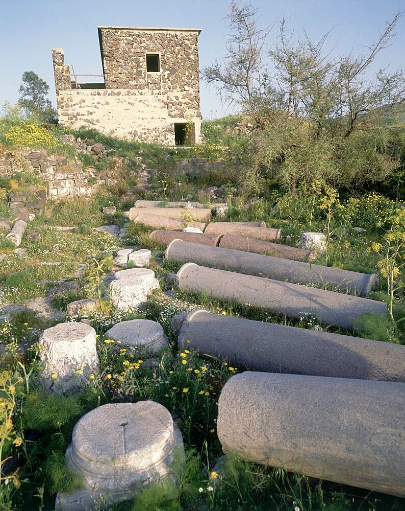 Photograph of the ruins of Gamla in the Golan Heights, Israel