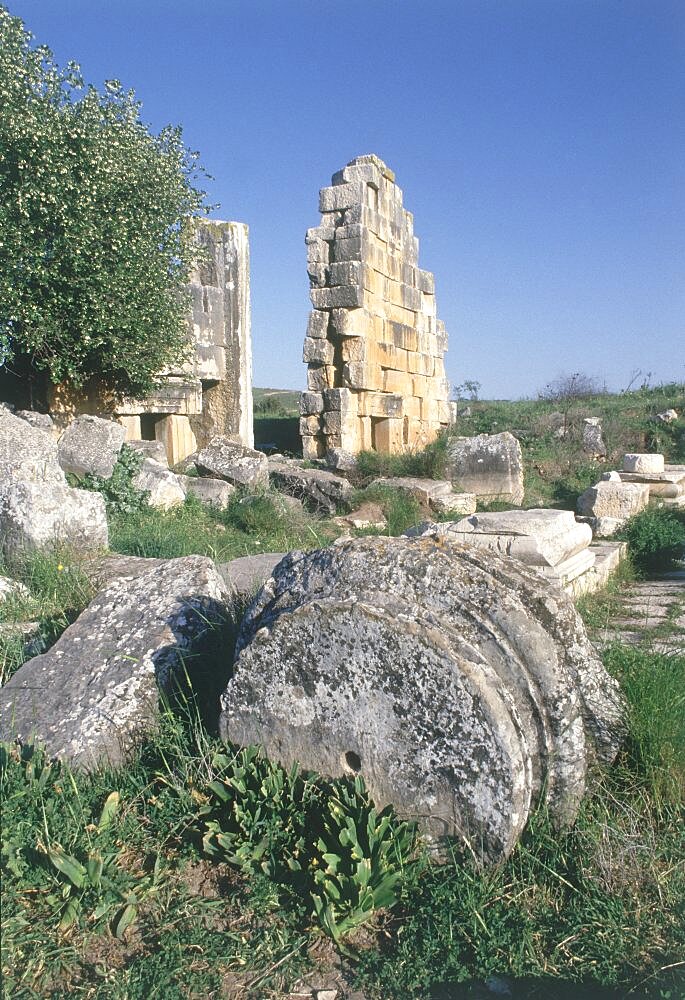 Photograph of the ruins of Tel Kedesh in the Upper Galilee, Israel