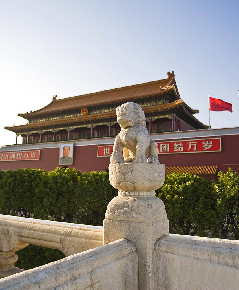 Stone lion statue at the main entrance to The Forbidden City, Chairman Mao Tsedong's portrait hanging above the doorway, Beijing, China, Asia