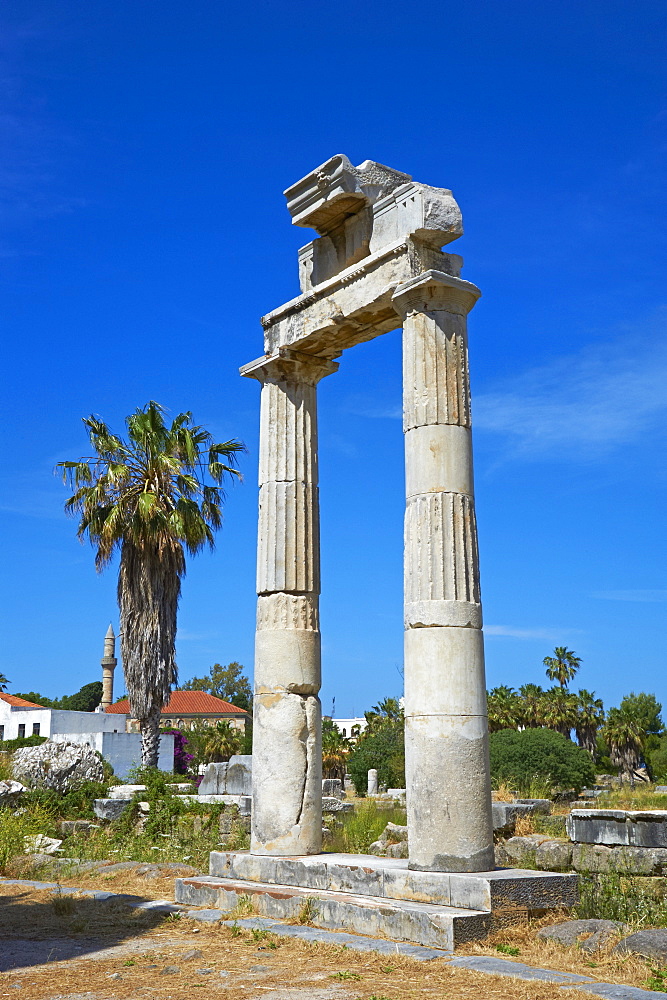 Agora, Kos City, Kos, Dodecanese, Greek Islands, Greece, Europe