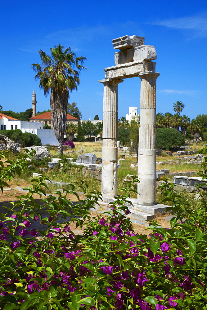 Agora, Kos City, Kos, Dodecanese, Greek Islands, Greece, Europe