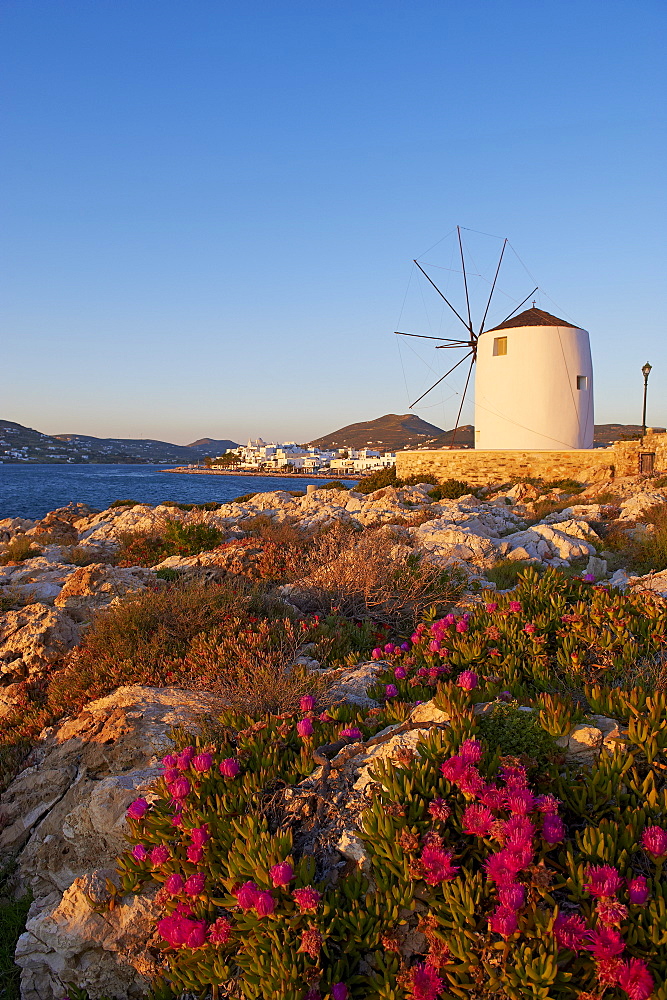 Windmill near the harbour, Parikia (Hora), Paros Island, Cyclades, Greek Islands, Greece, Europe