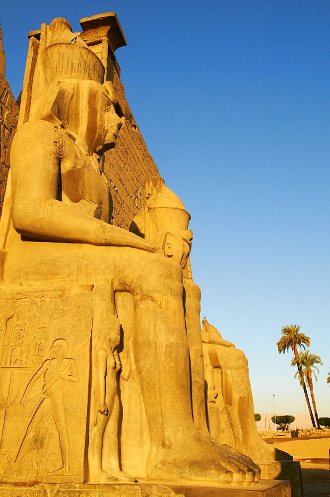 Temple of Luxor, Thebes, UNESCO World Heritage Site, Egypt, North Africa, Africa