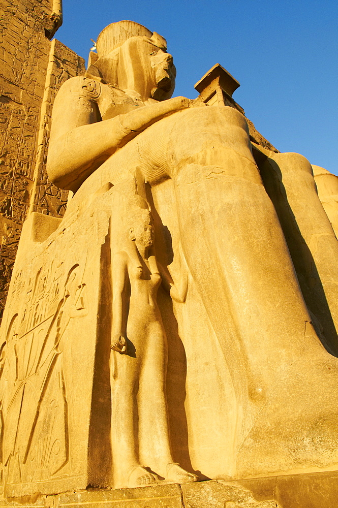 Temple of Luxor, Thebes, UNESCO World Heritage Site, Egypt, North Africa, Africa