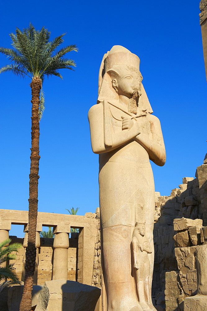 Colossus of Rameses II, Temple of Amun, Karnak, Thebes, UNESCO World Heritage Site, Egypt, North Africa, Africa