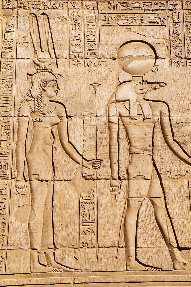 Bas relief, Temple of Sobek and Haroeris, Kom Ombo, Egypt, North Africa, Africa