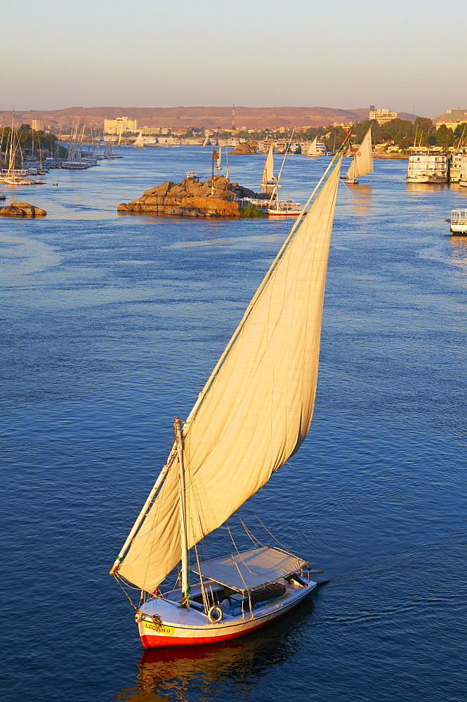 Feluccas on the River Nile, Aswan, Egypt, North Africa, Africa