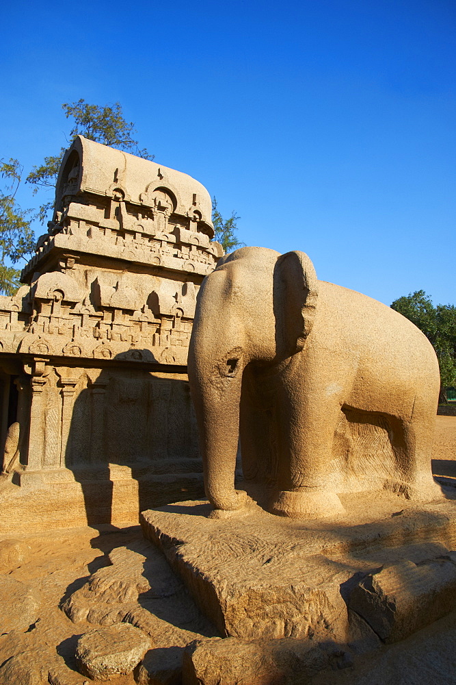 Five Ratha, Mamallapuram (Mahabalipuram), UNESCO World Heritage Site, Tamil Nadu, India, Asia