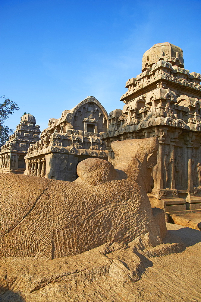 Five Ratha, Mamallapuram (Mahabalipuram), UNESCO World Heritage Site, Tamil Nadu, India, Asia