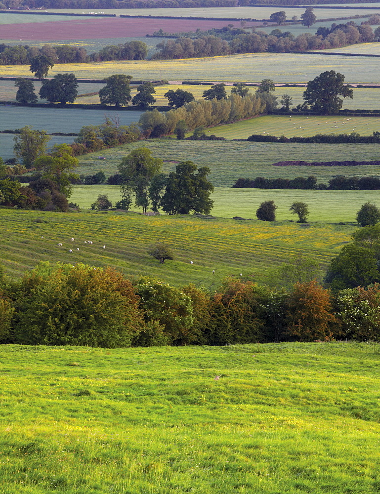 The view from Dover's Hill in the Cotswolds looking over the Vale of Evesham, near Chipping Camden, Gloucestershire, The Cotswolds, England, United Kingdom, Europe