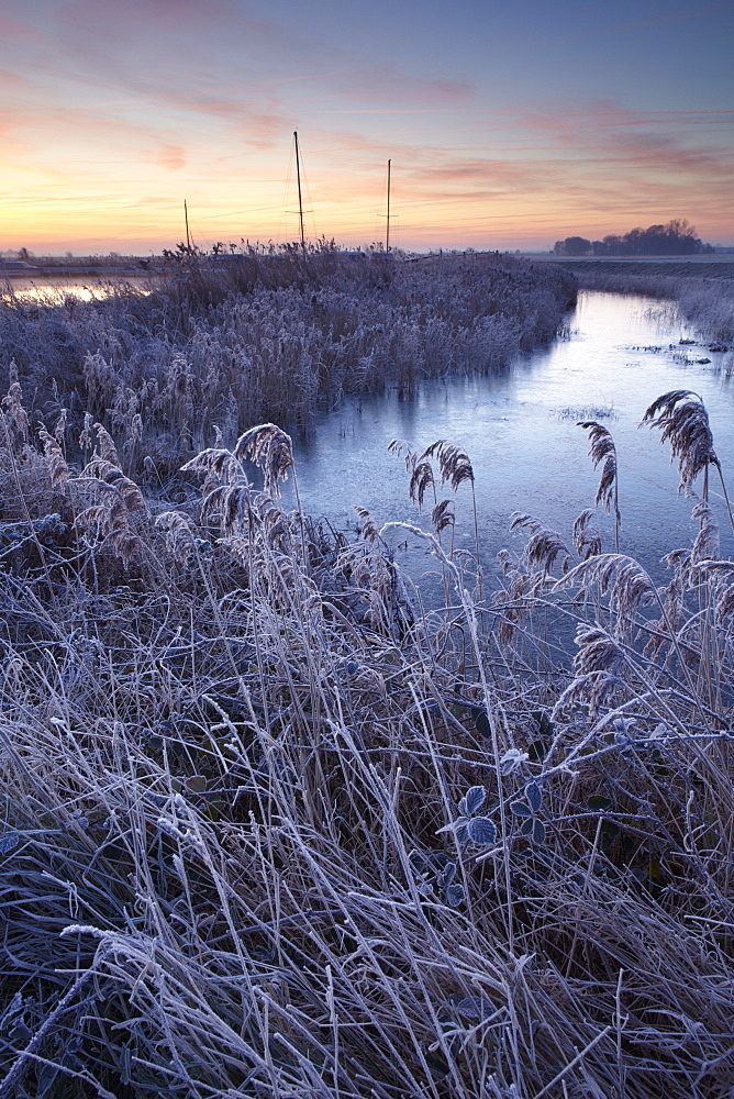 Winter scene in the Norfolk Broads near Ludham Bridge, Norfolk, United Kingdom, Europe