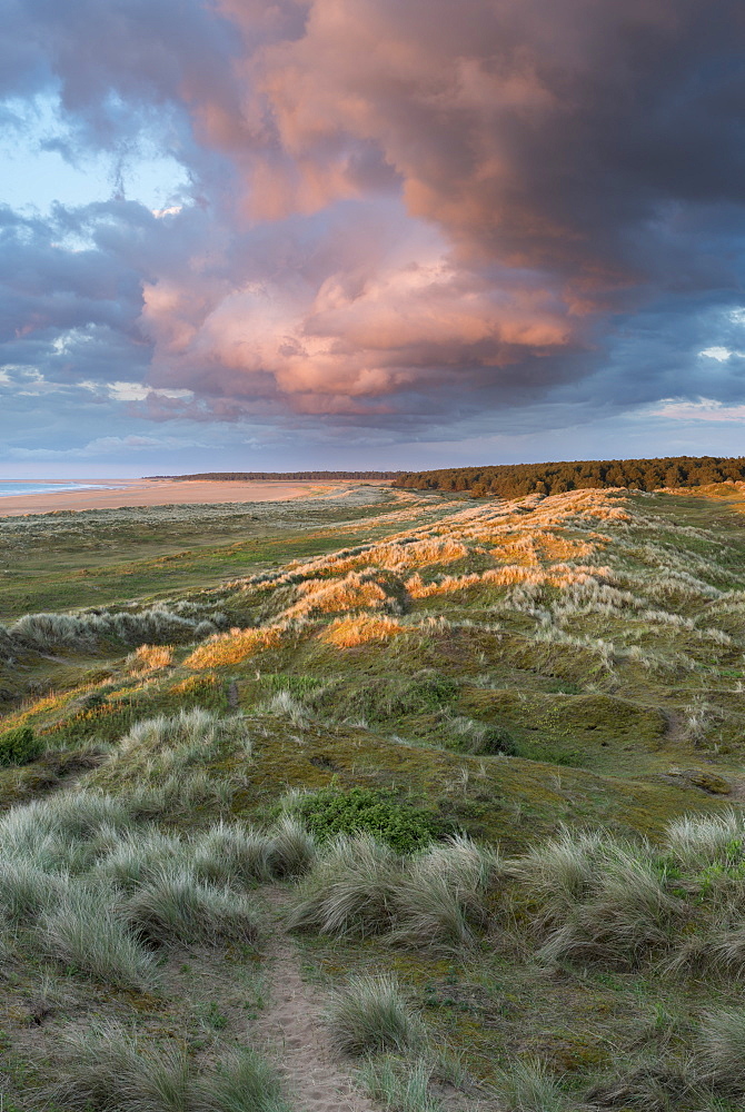 A view from the dunes of Holkham Bay, Norfolk, England, United Kingdom, Europe