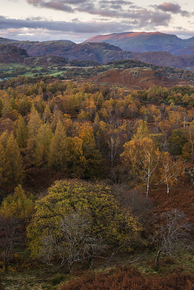 The view at twilight from Holme Fell, Lake District National Park, Cumbria, England, United Kingdom, Europe