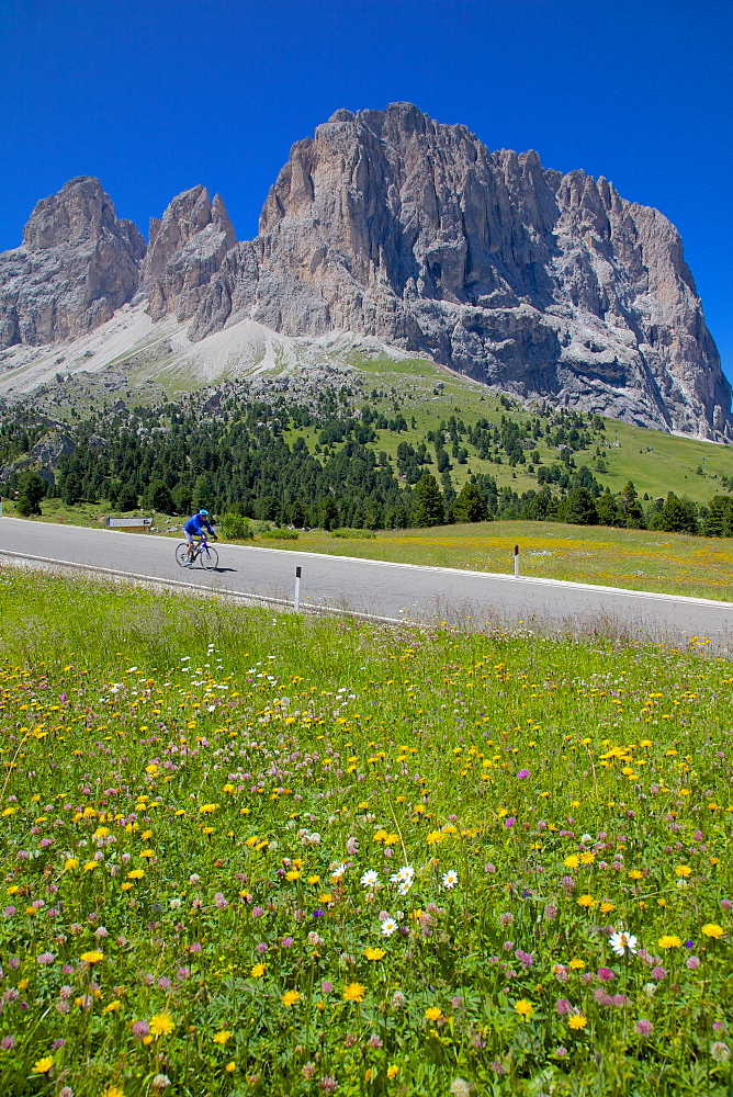 Cyclist and Sassolungo Group, Sella Pass, Trento and Bolzano Provinces, Italian Dolomites, Italy, Europe