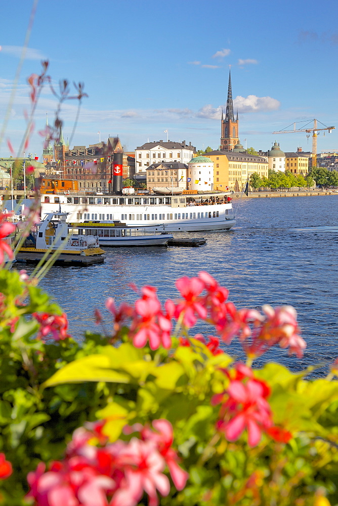 City skyline and flowers, Stockholm, Sweden, Scandinavia, Europe