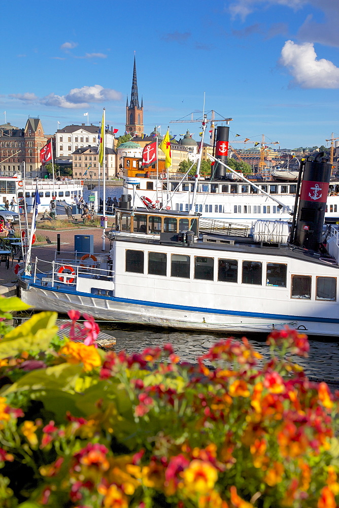 City skyline and flowers, Stockholm, Sweden, Scandinavia, Europe