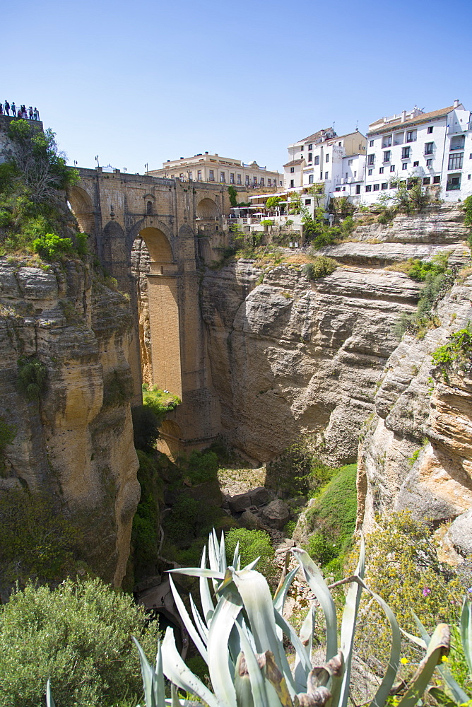 View of Ronda and Puente Nuevo from Jardines De Cuenca, Ronda, Andalusia, Spain, Europe