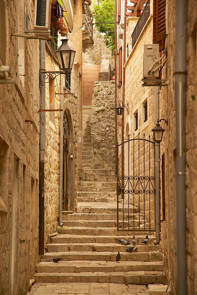 Narrow street, Old Town, Kotor, UNESCO World Heritage Site, Montenegro, Europe