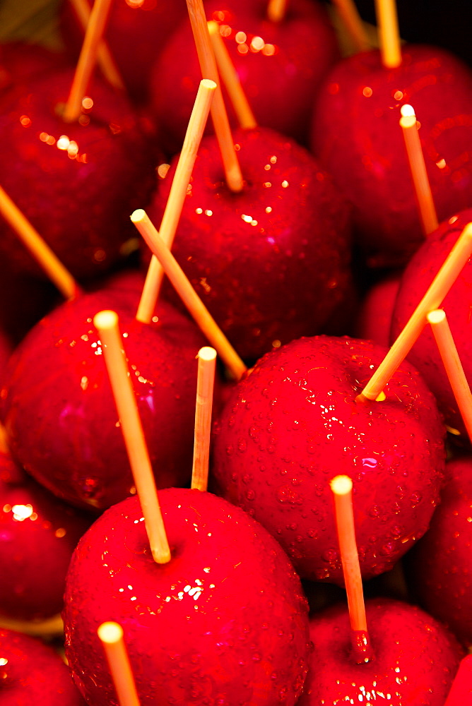 Toffee apples, Christmas Market, Dortmund, North Rhine-Westphalia, Germany, Europe