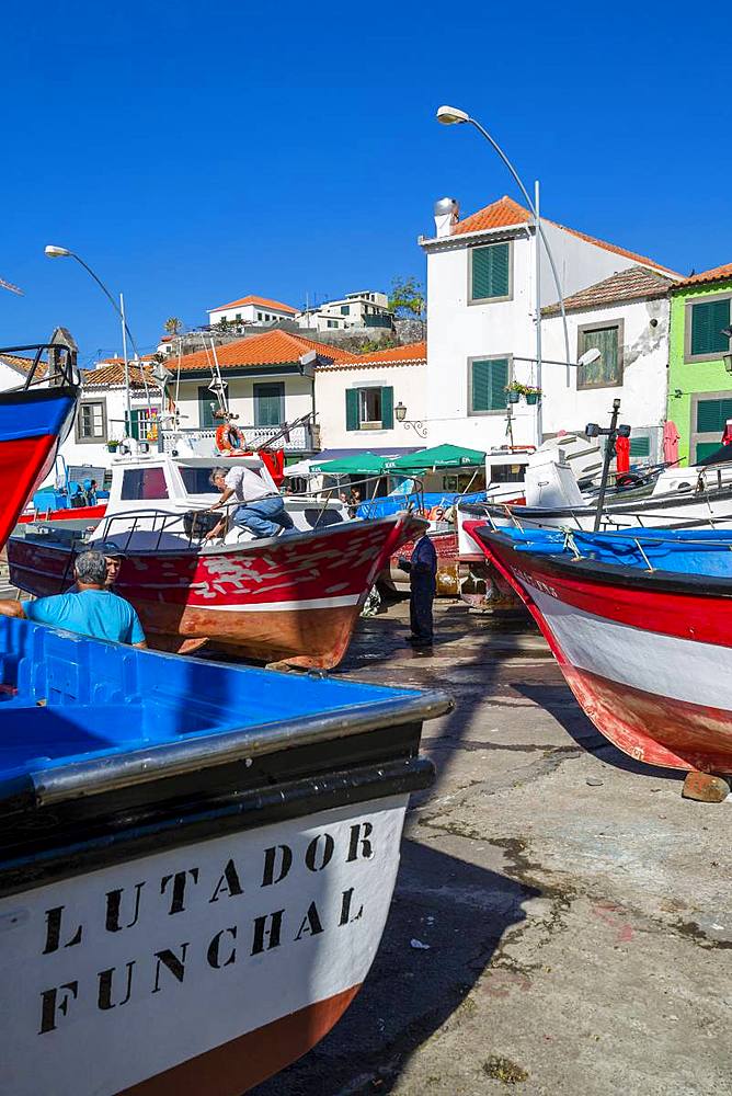 Colourful fishing boats in harbour in Camara de Lobos, Madeira, Portugal, Atlantic, Europe