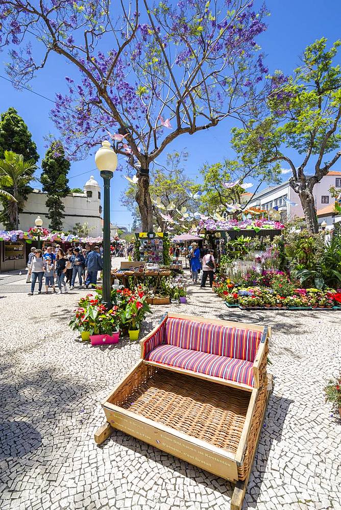 Flower Festival on Avenue Arriaga during springtime, Funchal, Madeira, Portugal, Atlantic, Europe