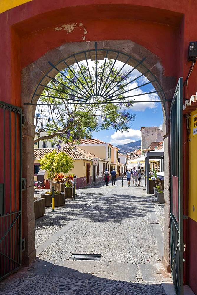 View of from Fortress through archway door, Funchal, Madeira, Portugal, Atlantic, Europe