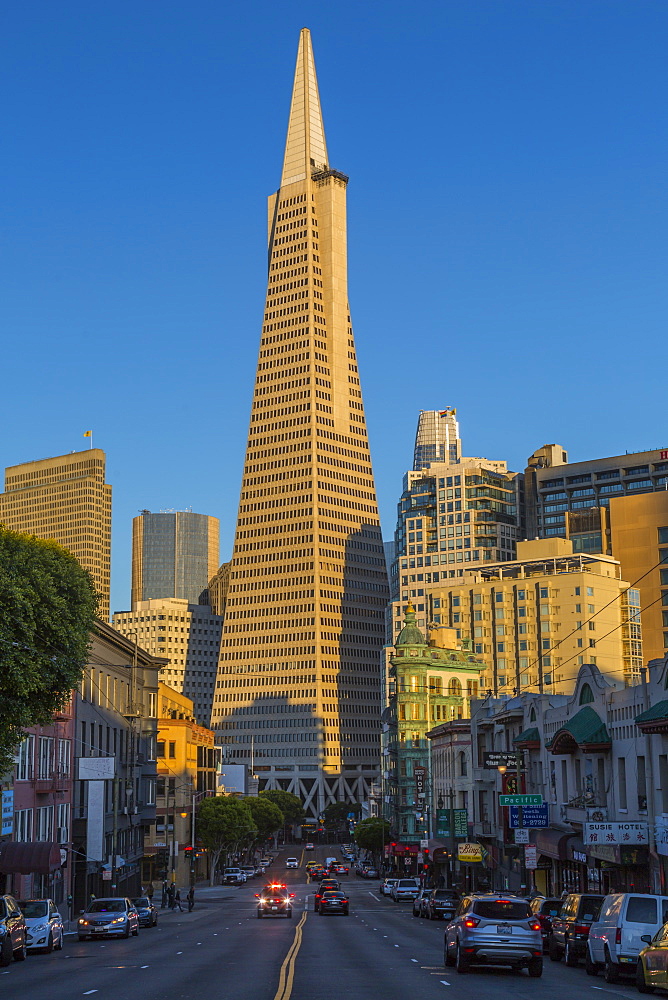 View of Transamerica Pyramid building on Columbus Avenue, North Beach, San Francisco, California, United States of America, North America