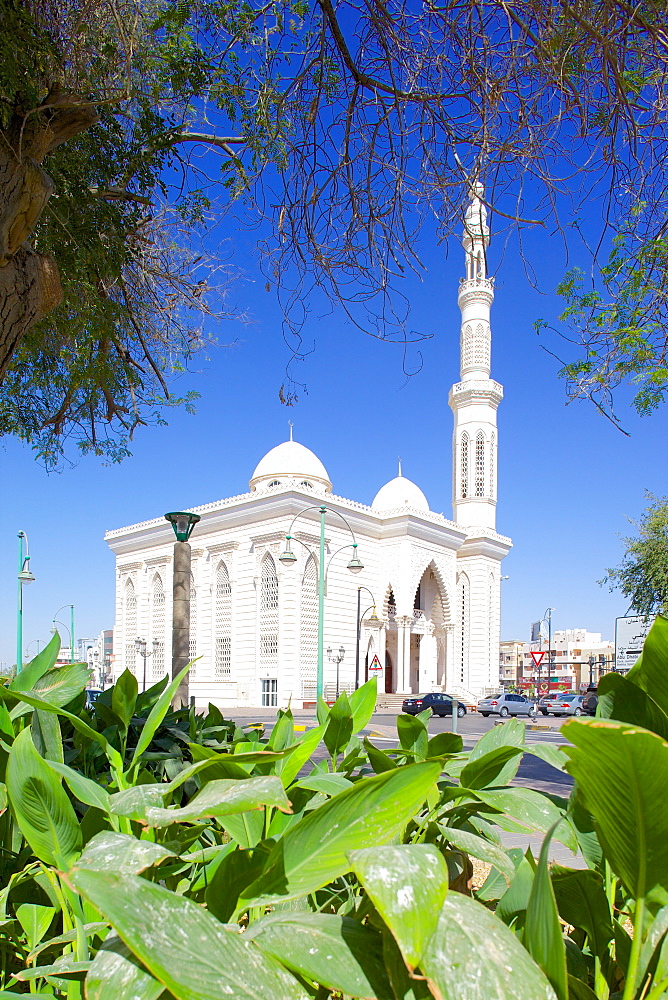 Mosque on Zayed Bin Sultan Street, Al Ain, Abu Dhabi, United Arab Emirates, Middle East 