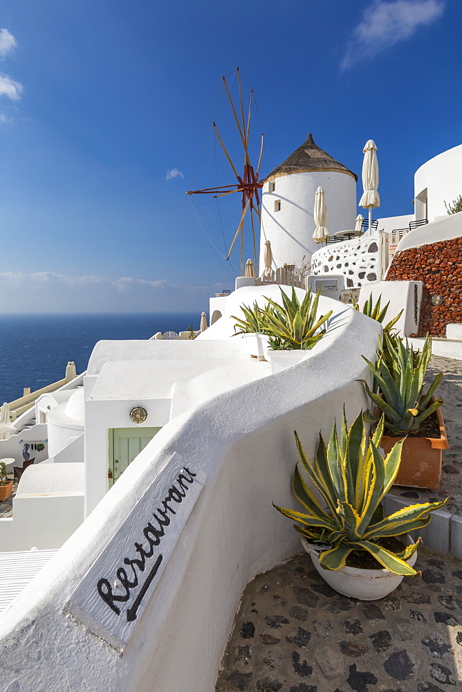 View of windmill overlooking Oia village, Santorini, Cyclades, Aegean Islands, Greek Islands, Greece, Europe