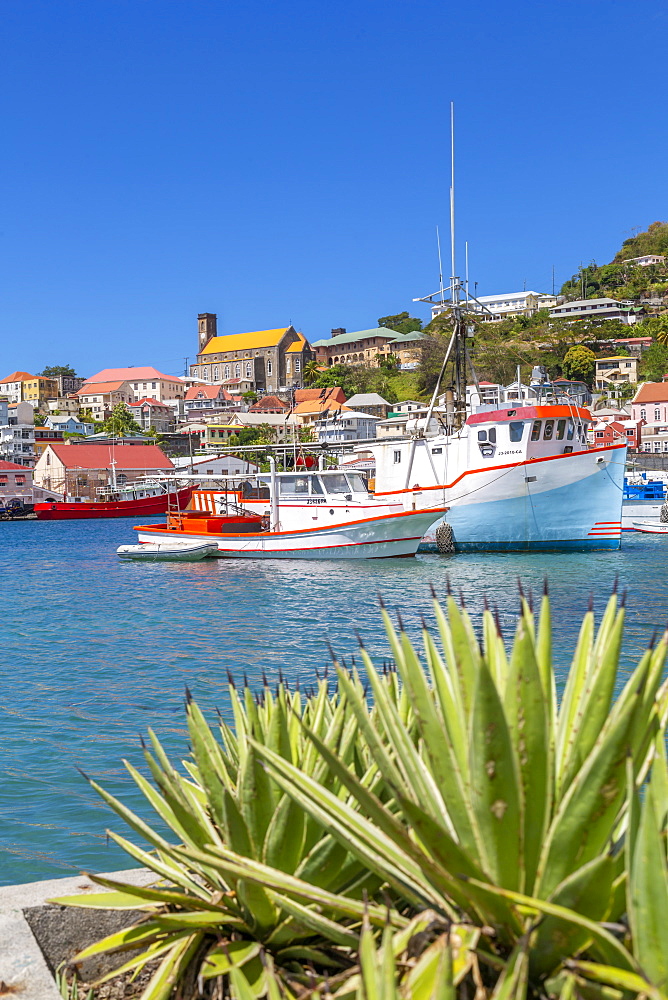 View over the Carenage of St. George's, Grenada, Windward Islands, West Indies, Caribbean, Central America