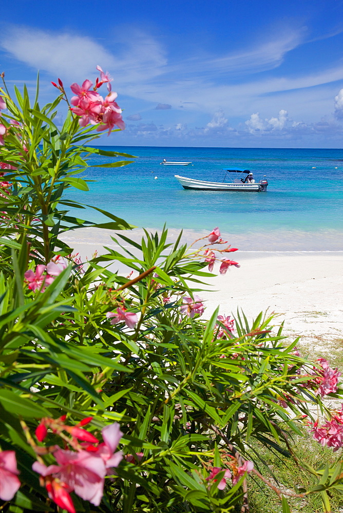 Long Bay and beach, Antigua, Leeward Islands, West Indies, Caribbean, Central America