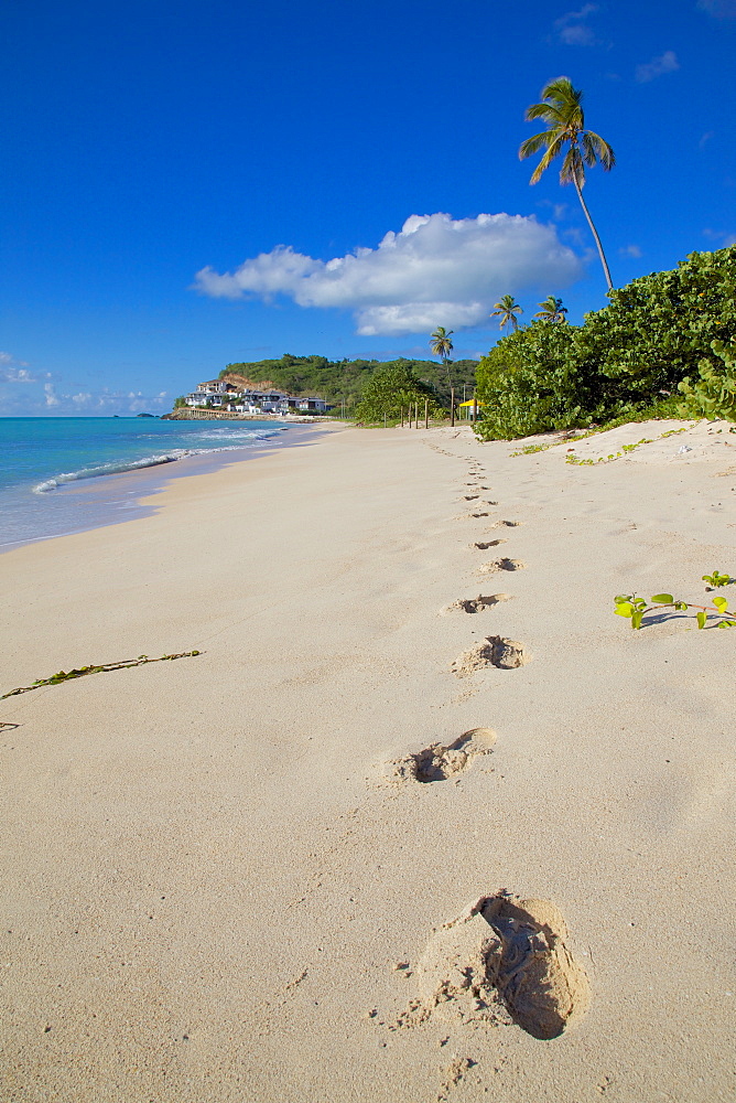 Darkwood Beach, St. Johns, Antigua, Leeward Islands, West Indies, Caribbean, Central America