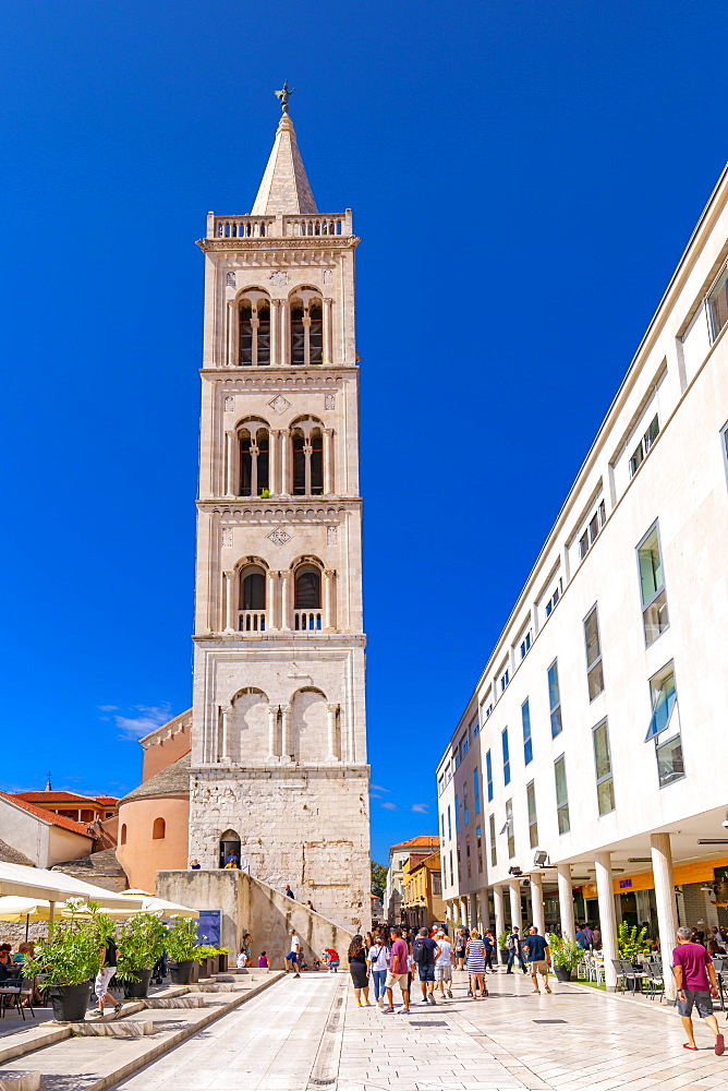 View of busy restaurant and Cathedral of St. Anastasia, Zadar, Zadar county, Dalmatia region, Croatia, Europe