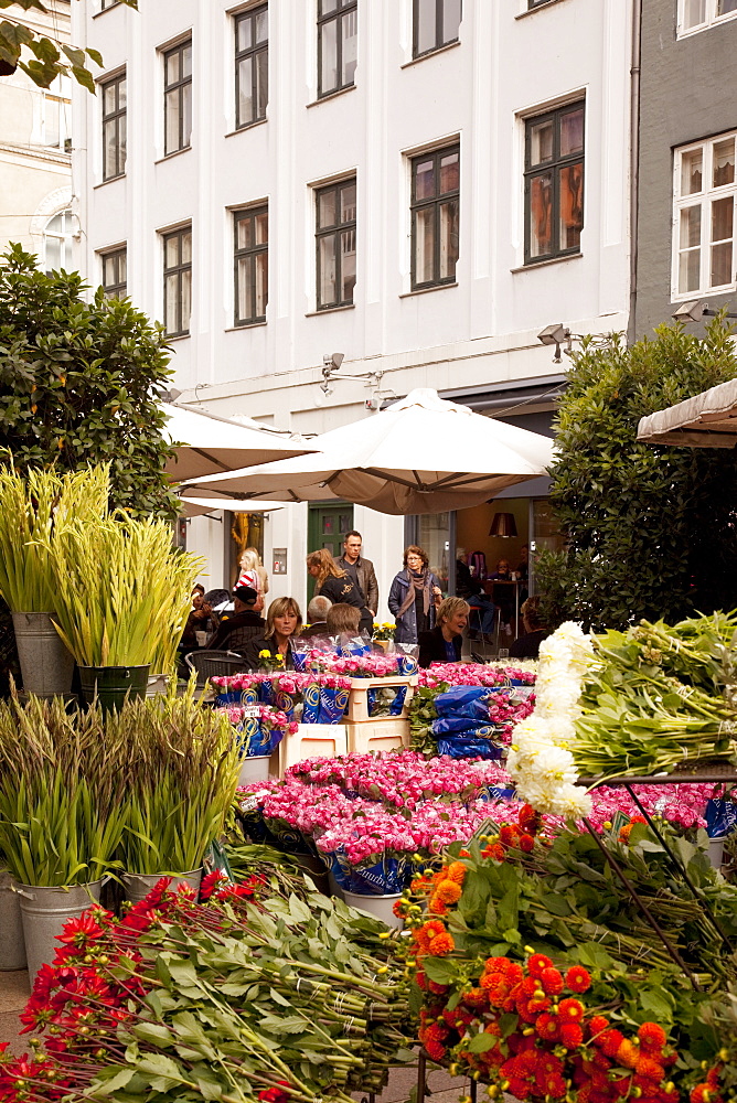 Flower shop on Ostergade, Copenhagen, Denmark, Scandinavia, Europe