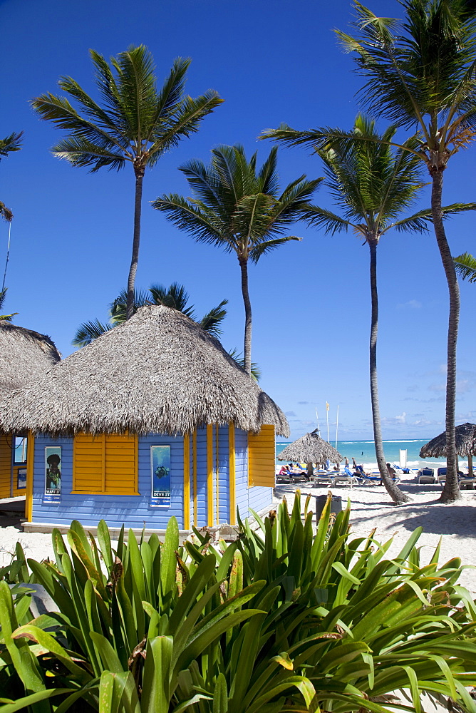 Bavaro Beach, Punta Cana, Dominican Republic, West Indies, Caribbean, Central America