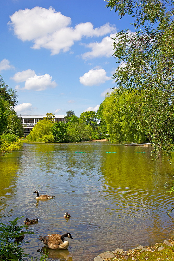 Queen's Park, Chesterfield, Derbyshire, England, United Kingdom, Europe