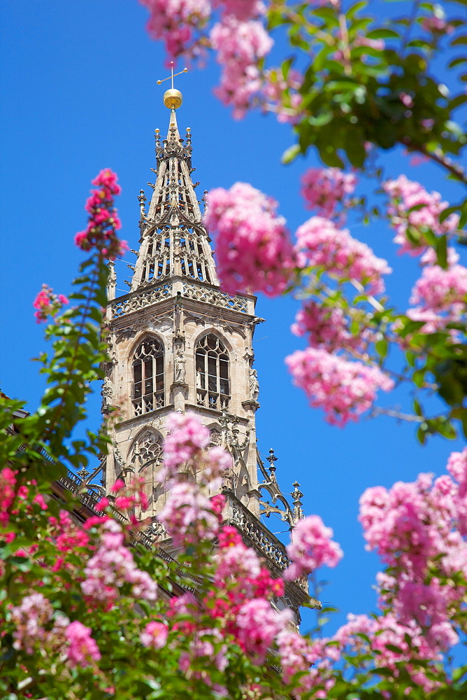 Duomo, Walther Platz, Bolzano, Bolzano Province, Trentino-Alto Adige, Italy, Europe