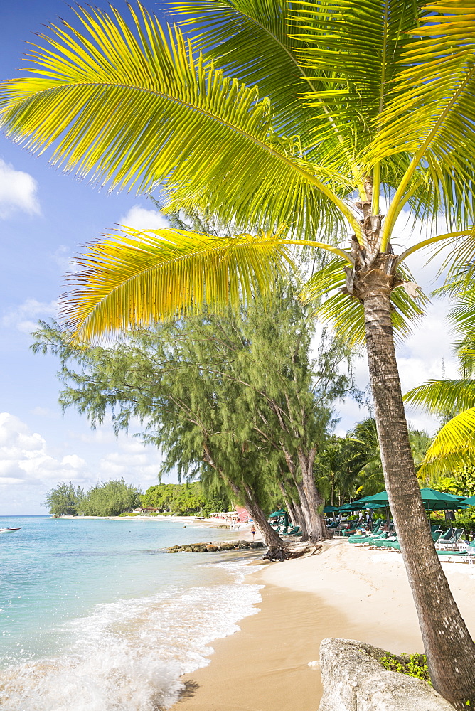 Beach, Holetown, St. James, Barbados, West Indies, Caribbean, Central America