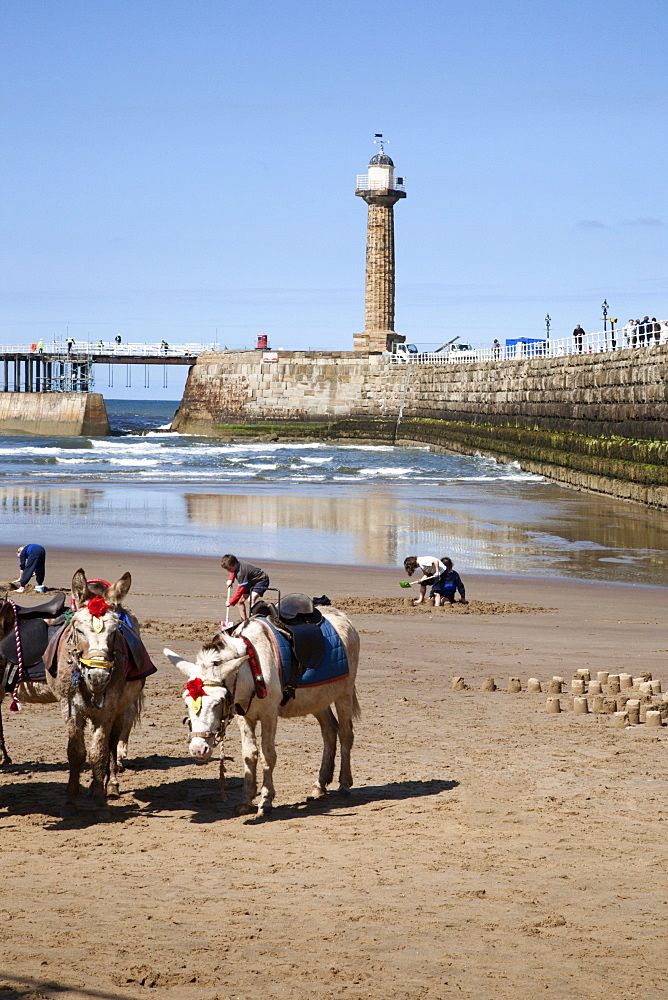 Donkeys on Whitby Sands, Whitby, North Yorkshire, Yorkshire, England, United Kingdom, Europe