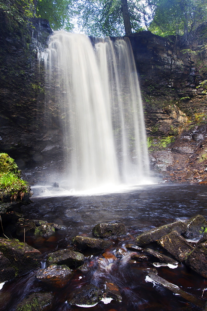 Whitfield Gill Force near Askrigg, Wensleydale, North Yorkshire, Yorkshire, England, United Kingdom, Europe