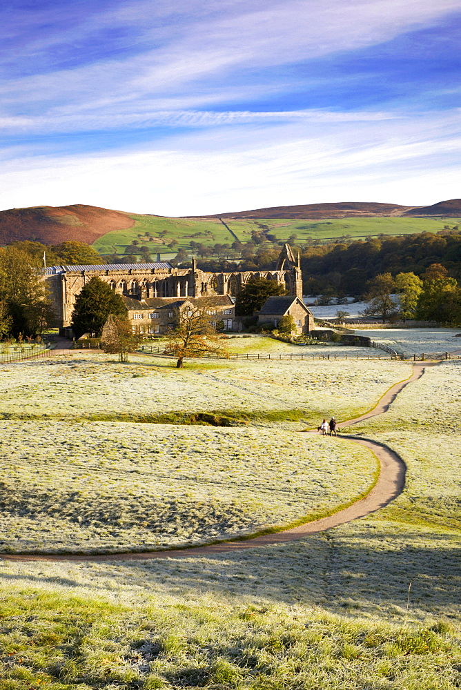 Ruins of Bolton Priory (Bolton Abbey) on a frosty morning, Yorkshire Dales National Park, Yorkshire, England, United Kingdom, Europe