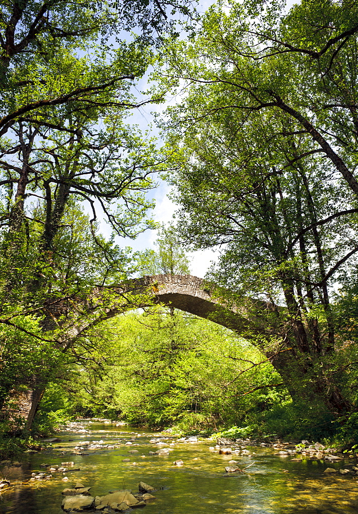 Ancient stone bridge near Kipi, Zagoria, Epirus, Greece, Europe