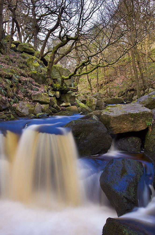 Padley Gorge in the Peak District, Derbyshire, England, United Kingdom, Europe