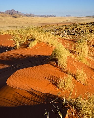 The red oxidised sand of the NamibRand dunes, Namib Desert, Namibia, Africa 