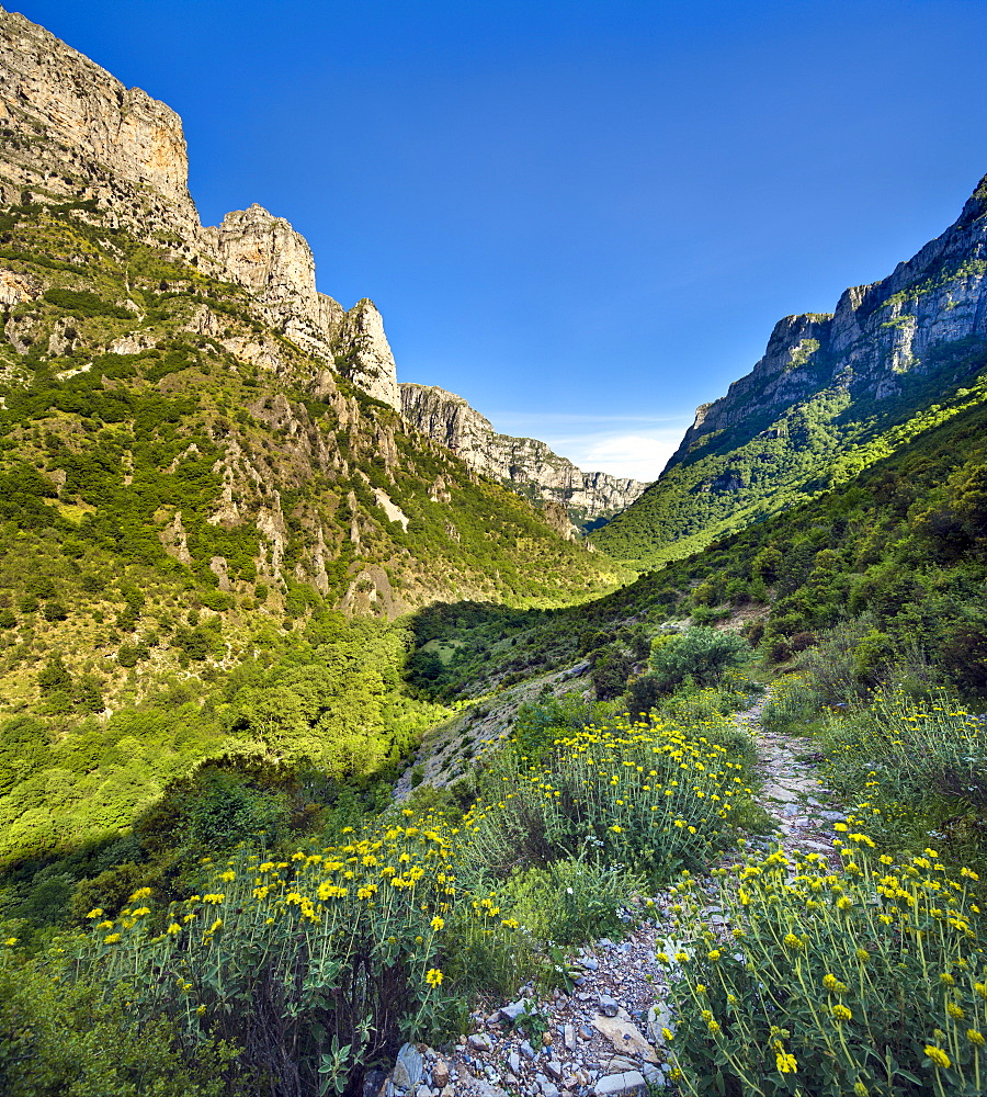 Looking back along the Vikos Gorge footpath in springtime, underneath the village of Vikos, with the Astaka peaks above, Epirus, Greece, Europe