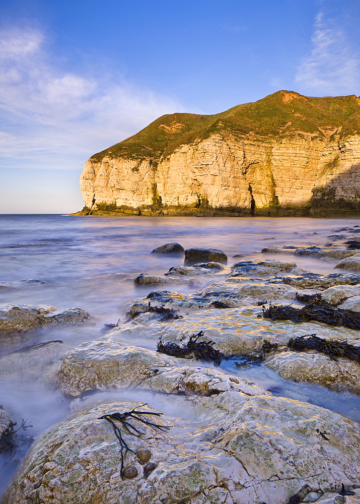 Smooth polished rocks on the shore at Thornwick Bay, looking towards the golden cliffs of Flamborough, Yorkshire, England, United Kingdom, Europe