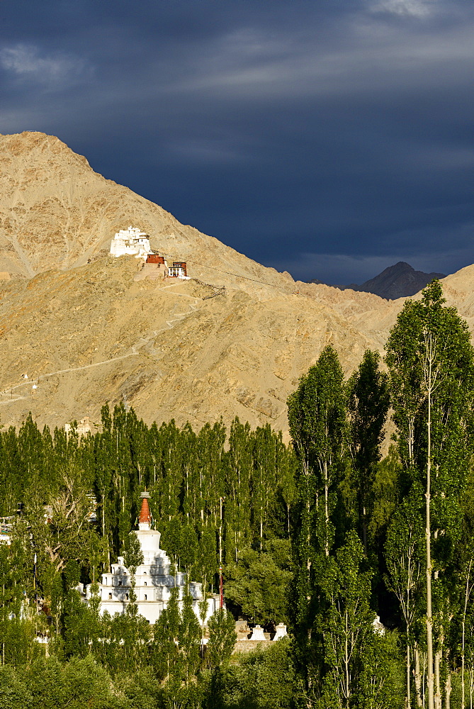 Stormy light over the Namgyal Tsemo fort and monastery (gompa), Leh, Ladakh, India, Asia